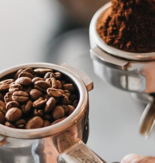 أنواع حبوب البن – دليل Turkaffe لاكتشاف نكهات القهوة